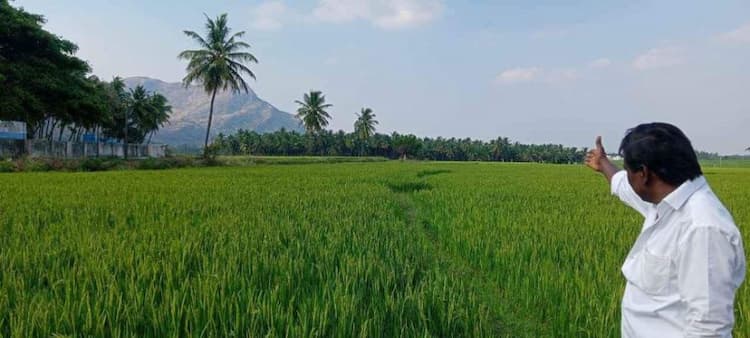 Single Property Image