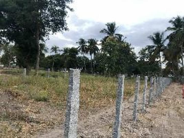Plot sale