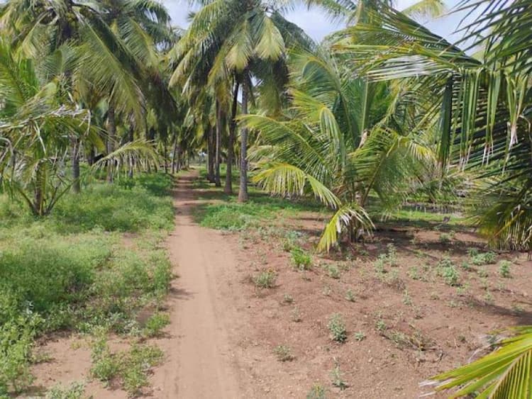 Single Property Image