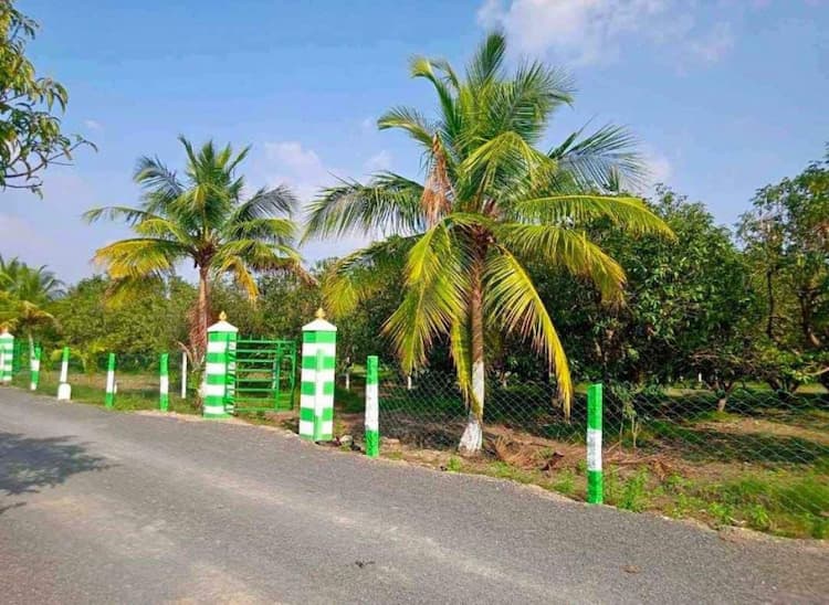 Single Property Image