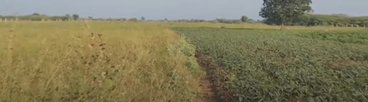 26 Acers Agriculture Land for sales