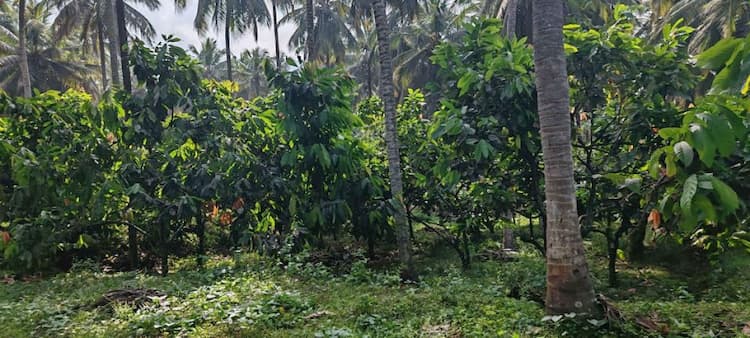 Single Property Image