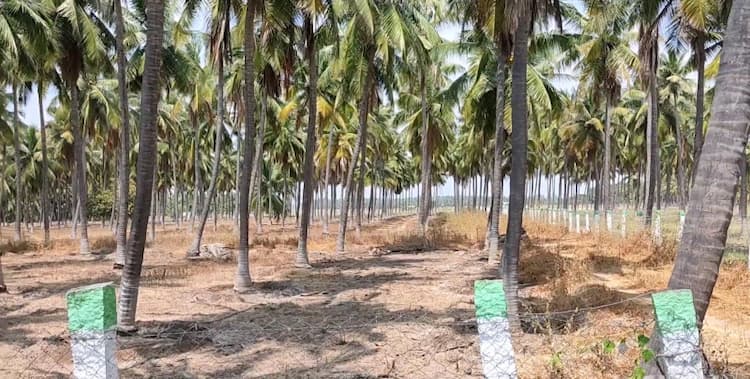 10 Acres Land for Sale