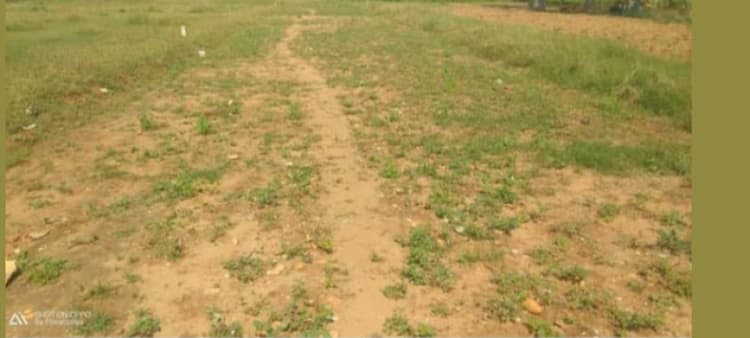 10 Cent land for sales