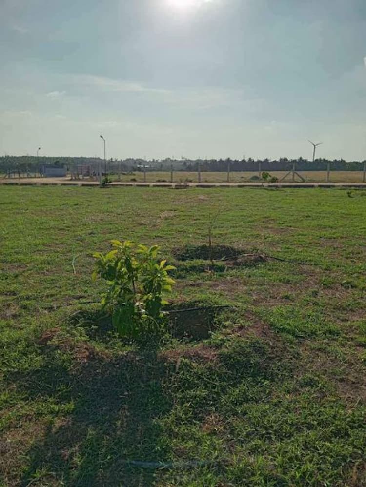 Single Property Image