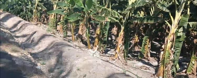 2 Acre Land for Sale