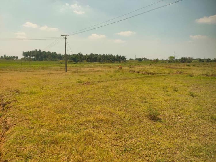 3 Acre Land for Sale