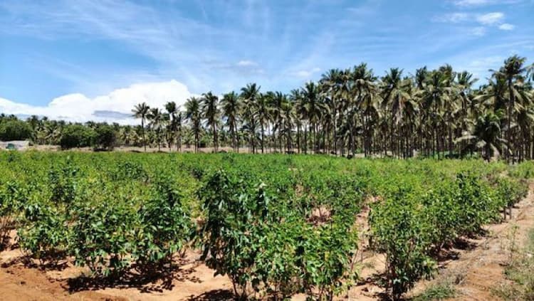 Single Property Image