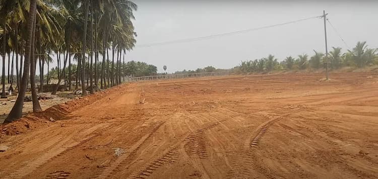 Coconut Farm for Sale