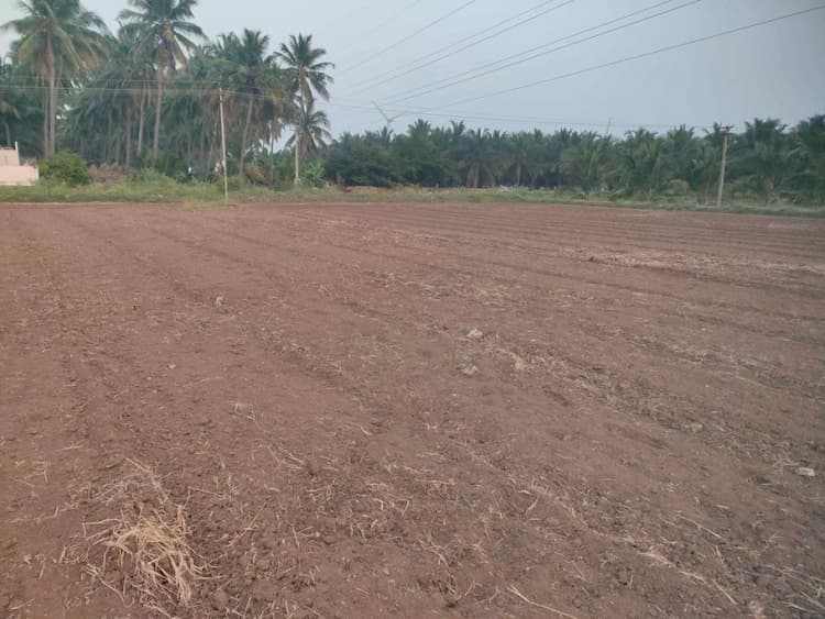 2 Acre Farm Land for Sale
