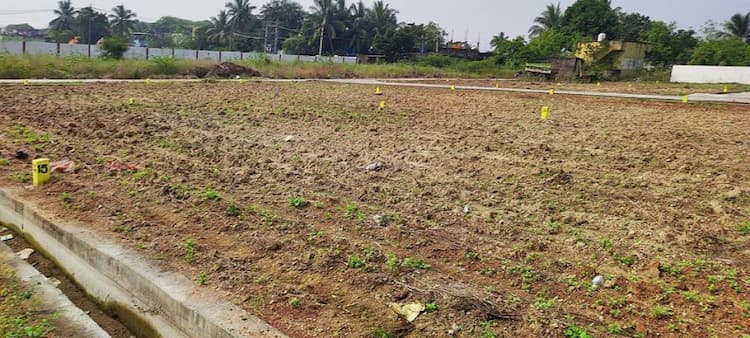 Single Property Image