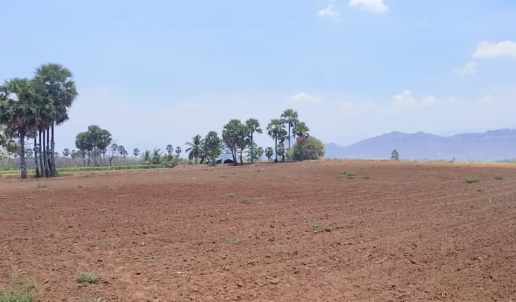 Empty Land for Sale