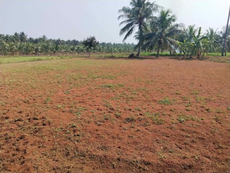 75 Cent Land for sales