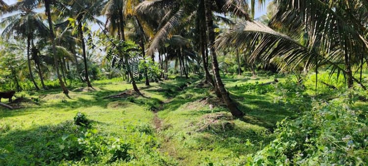 Single Property Image