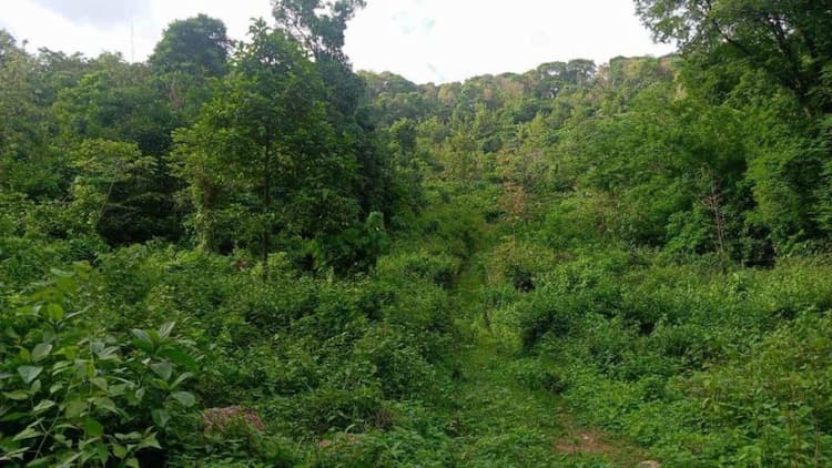 Single Property Image