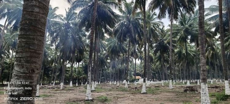 Land for Sale