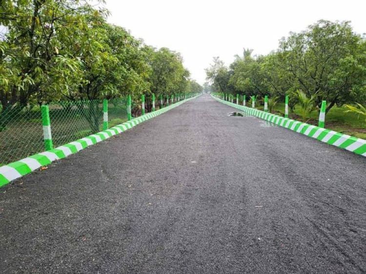 MANGO FARM LAND SALE
