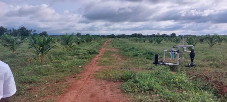 COCONUT FARM LAND MUDHUKULAM