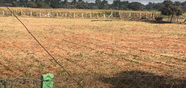 1.37 Acre Land for Sale