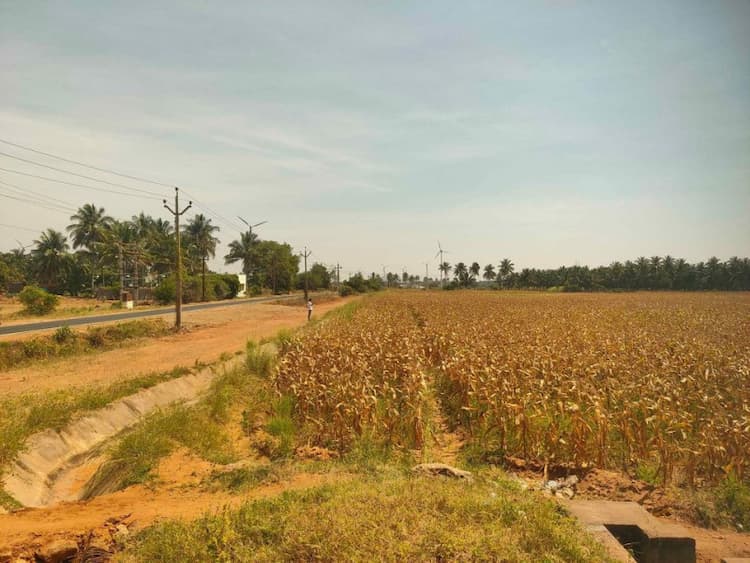 1.25 Acre Land for Sale