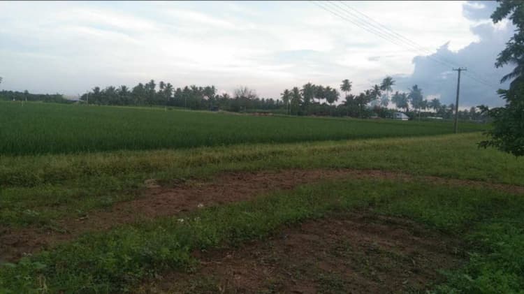 Single Property Image