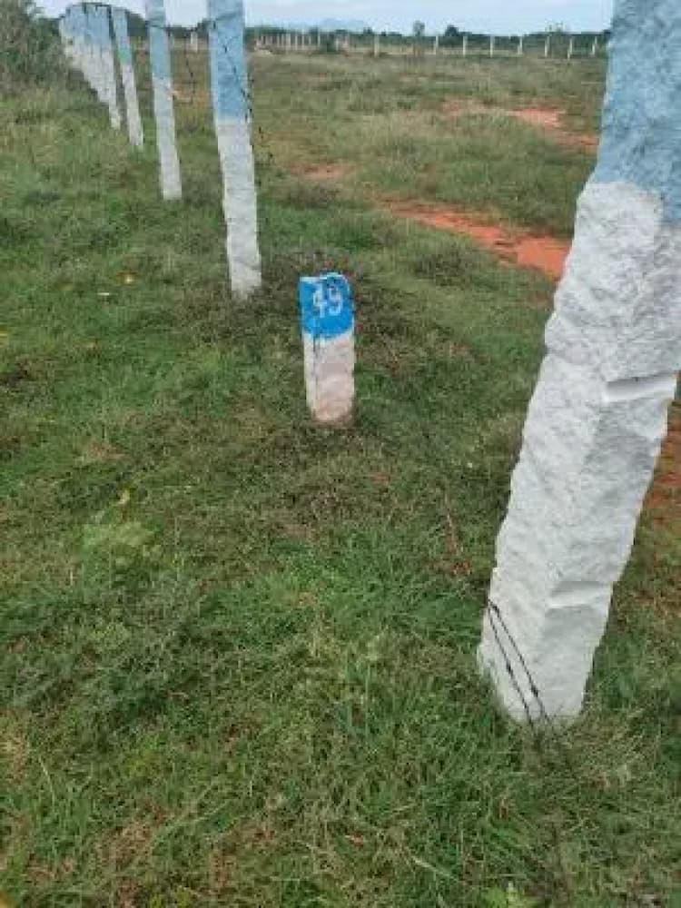 Plot sale