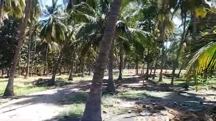 13.50 Acre Land with Farm House for Sale