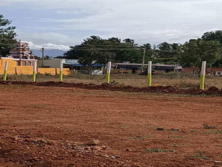 Residential Plot