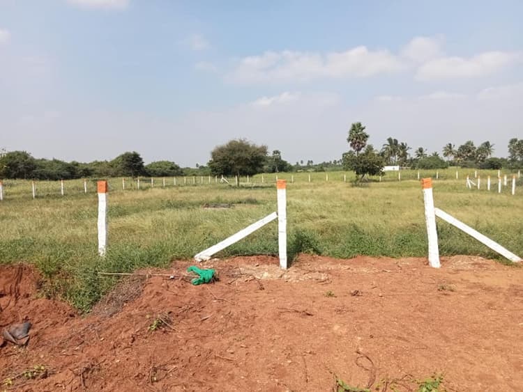 85 Cent Full Fencing Plot in Palani to Dharapuram Road