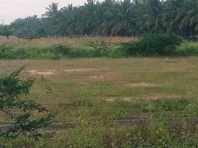 30 Cent Land for Sale