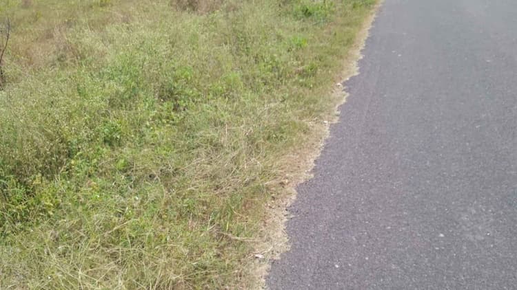 3.25 Acre Land for Sale