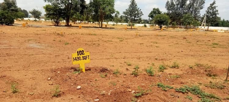 Single Property Image