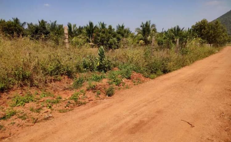 Single Property Image