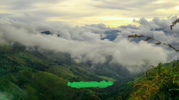 MOUNTAIN VIEW ORGANIC FRUIT FARMLAND LAND SALE IN KODAIKANAL