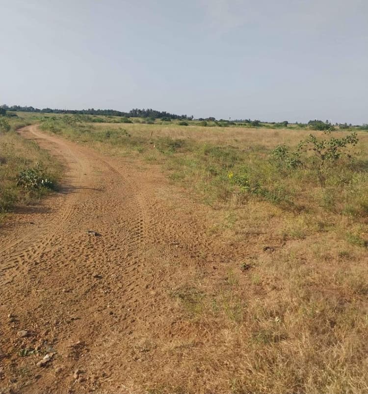 50 Acre Land for Sale