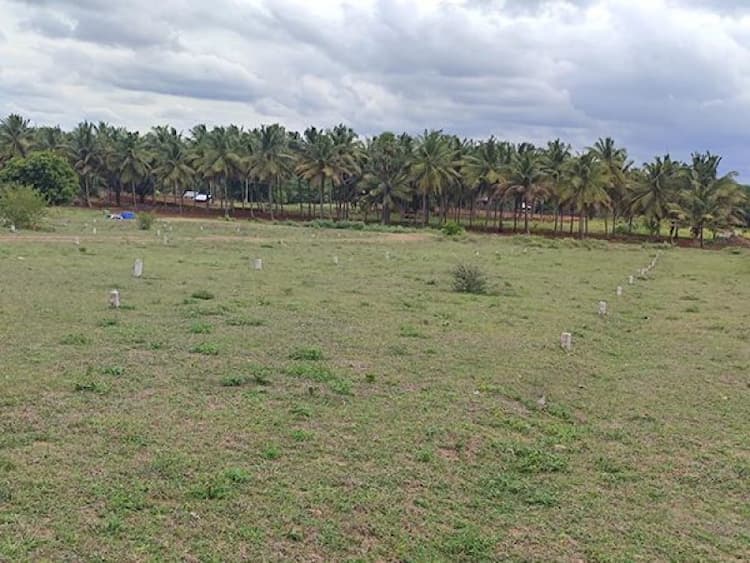 Single Property Image