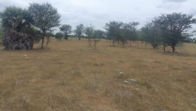 Low Budget Land for Sale
