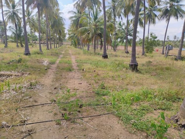 Land for Sale