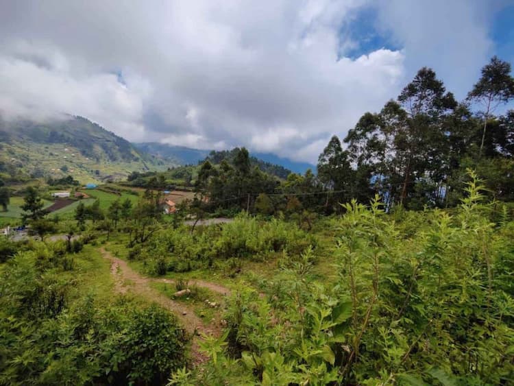 Single Property Image