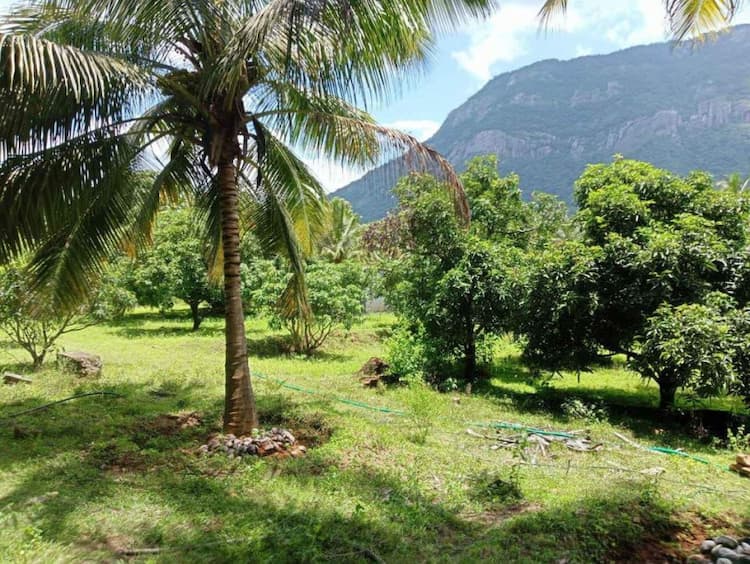 Single Property Image