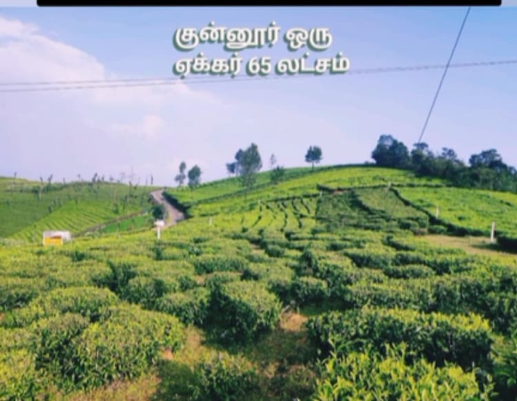 1 Acre land for sales