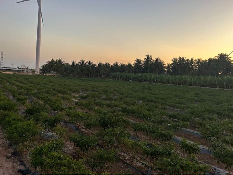 Single Property Image