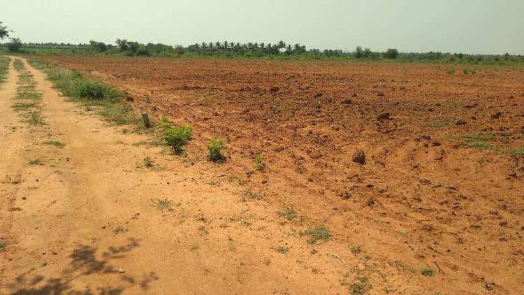 land sale