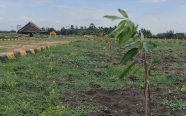 Single Property Image