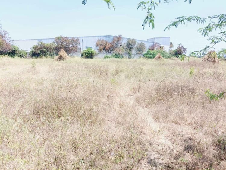 Land for sale