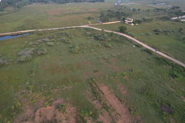 Urgent Sale - Thiruporur Kondangi Village OnRoad Investment Property For Sale