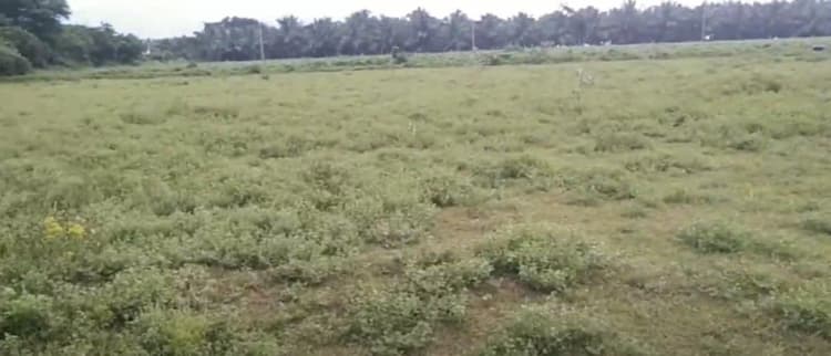 50 Acre Red Soil Farm for Sale