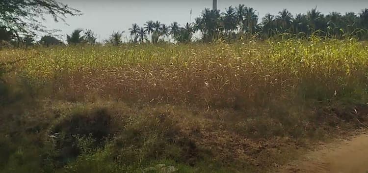 1.50 Acre Land for Sale