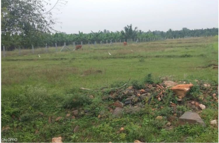 63 cents of land for sale