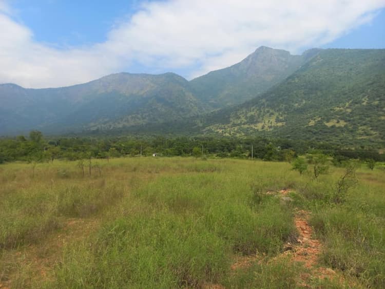 Single Property Image